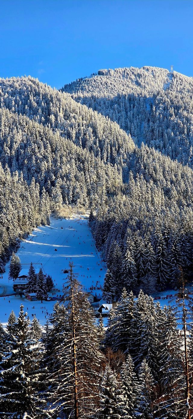 Una veduta dall'alto di una vivace pista da sci che si snoda attraverso una foresta montana innevata sotto un cielo azzurro e limpido.