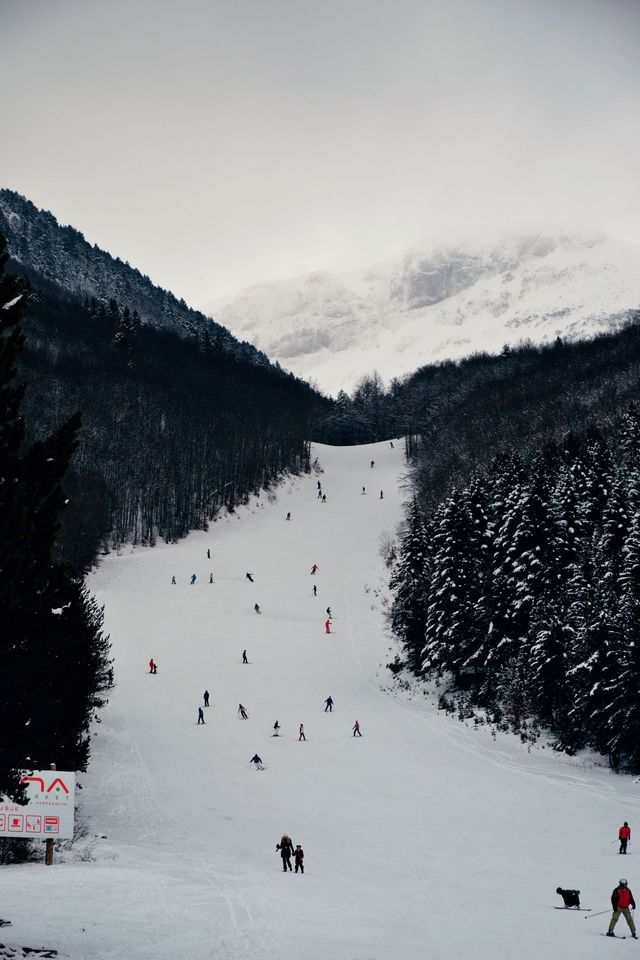 Persone che sciano e fanno snowboard su un ampio pendio montano innevato, fiancheggiato da fitte e scure foreste sotto un cielo coperto.