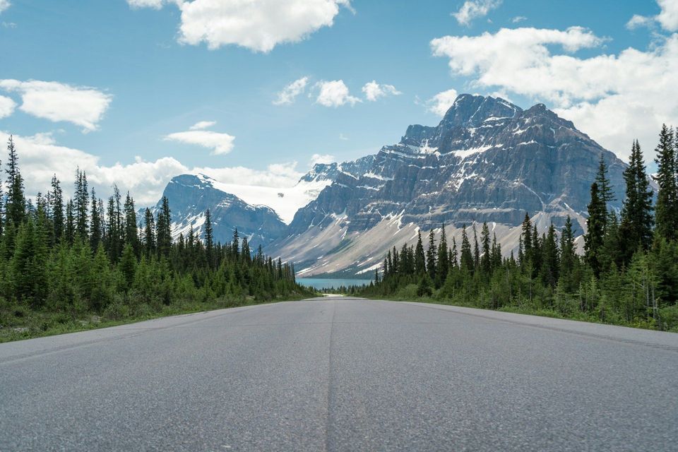 Una veduta dal basso di una strada asfaltata che attraversa una pineta, dirigendosi verso una catena montuosa innevata e un lago distante sotto un cielo parzialmente nuvoloso.