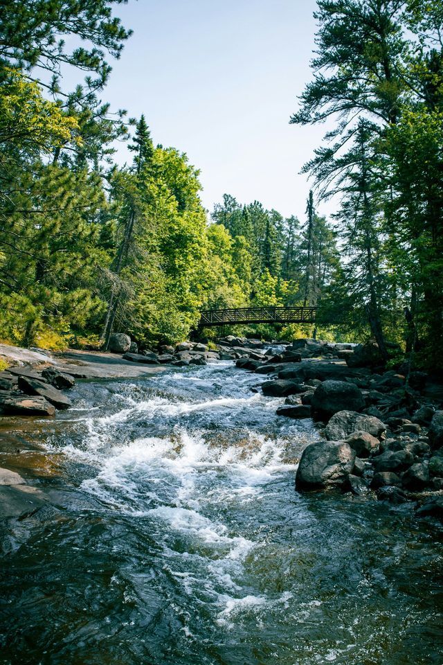 Un fiume roccioso con rapide di acque bianche scorre in una fitta foresta verde, con una passerella sullo sfondo.