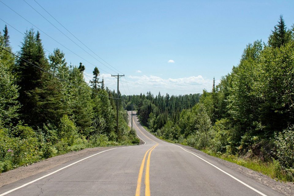 Una strada tortuosa a due corsie con linee gialle si addentra in una fitta foresta verde sotto un cielo azzurro e sereno.
