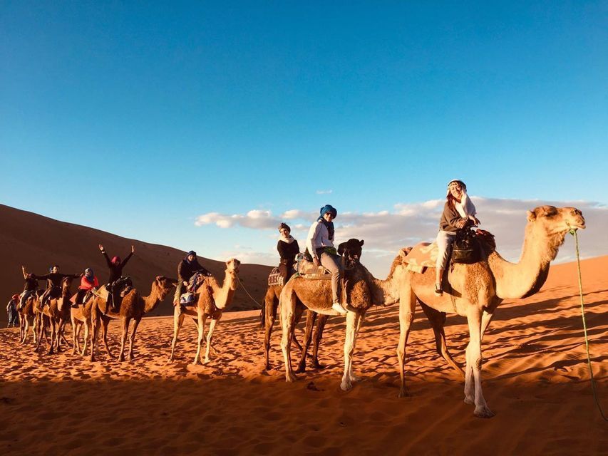 A WeRoad group trip riding a caravan of camels across desert sand dunes under a bright blue sky.