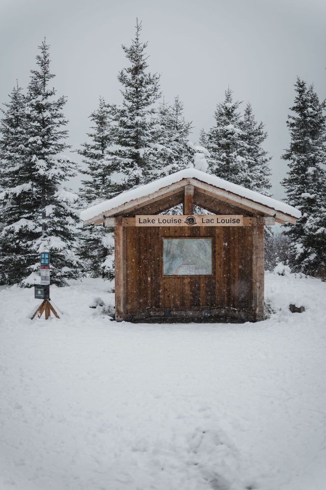 A wooden trail shelter stands in a snowy clearing surrounded by snow-covered evergreen pine trees.