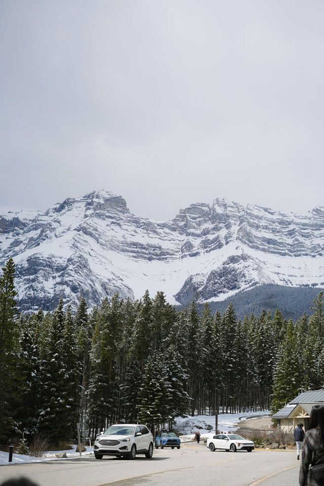 Snow-covered rocky mountains rise above an evergreen pine forest and a paved road with cars.