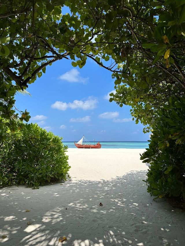 Una tradizionale barca a vela in legno riposa su una spiaggia di sabbia bianca, vista attraverso un arco naturale di alberi verdi e lussureggianti.