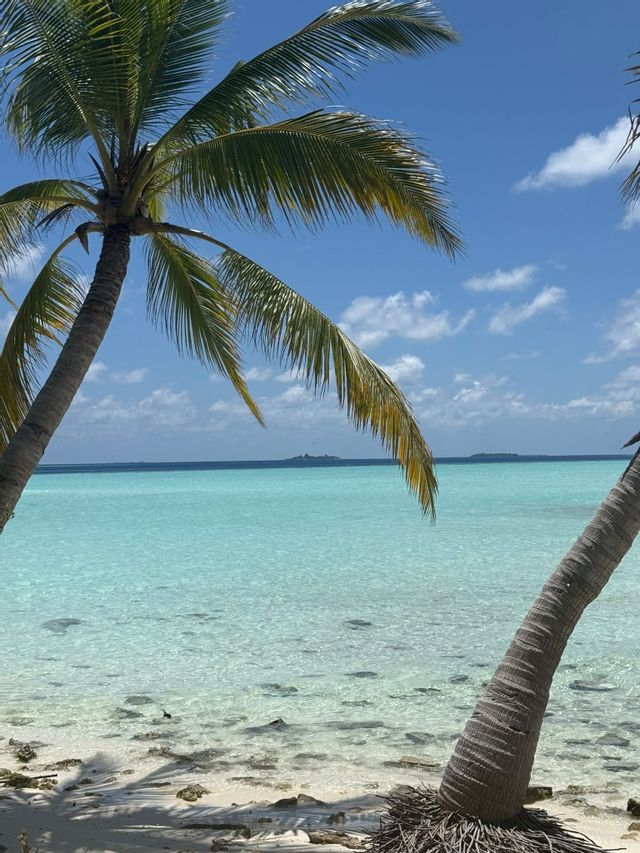 Palme che incorniciano una vista di acque oceaniche turchesi e trasparenti e isole lontane sotto un cielo blu.
