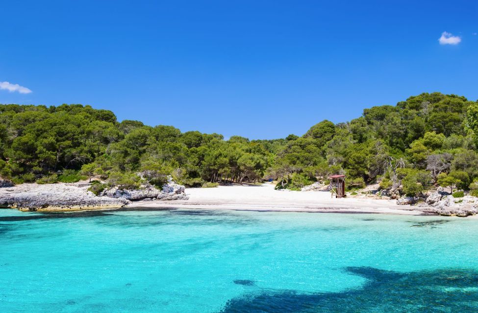 A secluded cove with white sand and clear turquoise water, surrounded by a lush green forest under a bright blue sky.