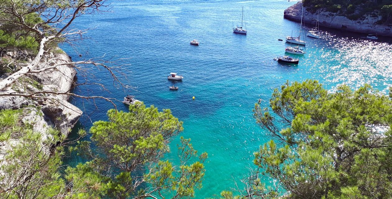 A high-angle view of a turquoise cove with several sailboats and boats anchored, framed by green pine trees.