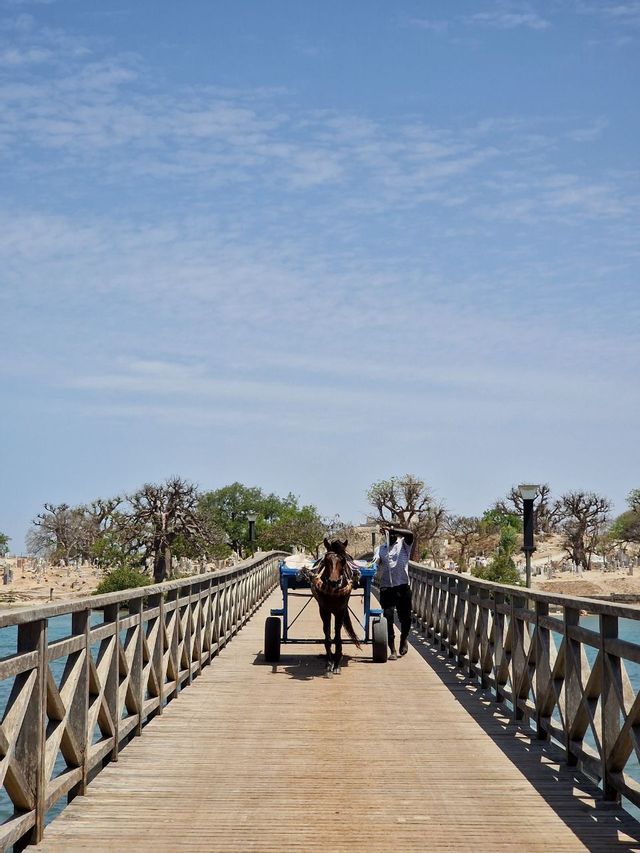 Un uomo con un cavallo che traina un carretto a due ruote attraversa un lungo ponte di legno sull'acqua, con alberi di baobab sullo sfondo.