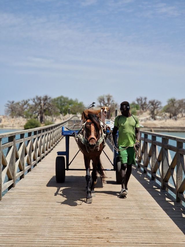 Un uomo con una camicia verde guida un cavallo che tira un carro blu attraverso un ponte di legno sull'acqua, mentre un cane è in groppa al cavallo.