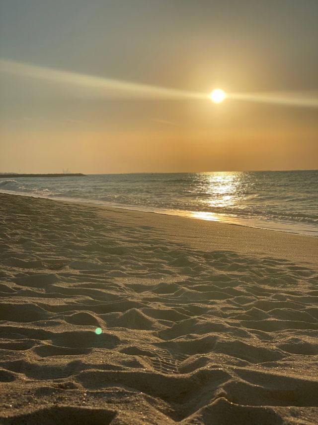 Il sole al tramonto proietta un bagliore dorato sull'oceano, con il suo riflesso che luccica sull'acqua e illumina una spiaggia sabbiosa in primo piano.