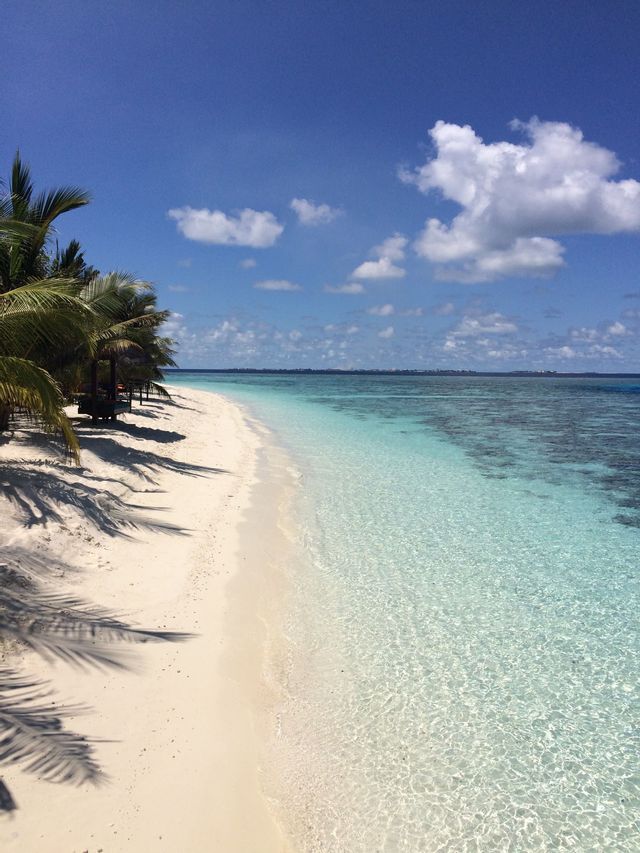 Palme proiettano ombre su una spiaggia di sabbia bianca bagnata da acque calme e turchesi, sotto un cielo blu con nuvole.