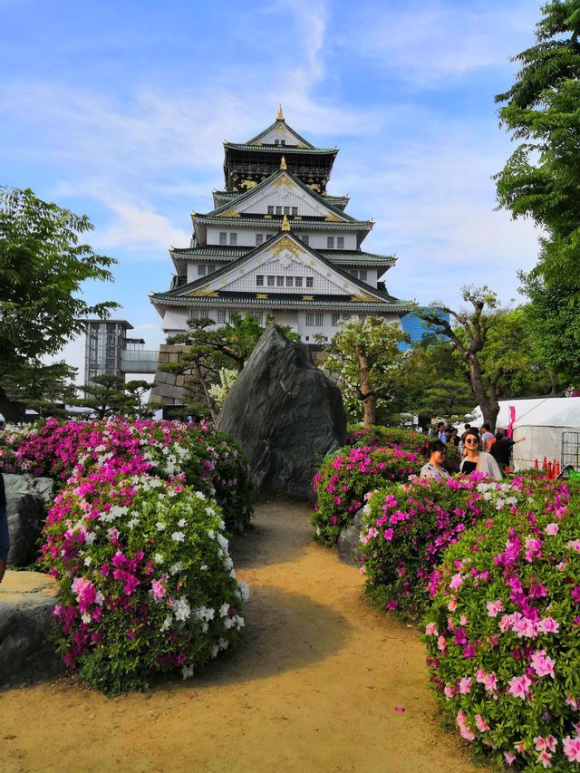 Ein traditionelles japanisches Schloss mit weißen Mauern und grünen Dächern, von einem Gartenweg aus betrachtet, der von leuchtend rosa und weißen Blütenbüschen gesäumt ist.