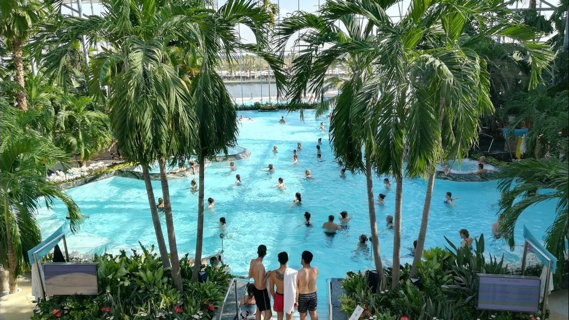 Una vista dall'alto di molte persone che nuotano in una grande piscina coperta circondata da alte palme verdi e piante tropicali.