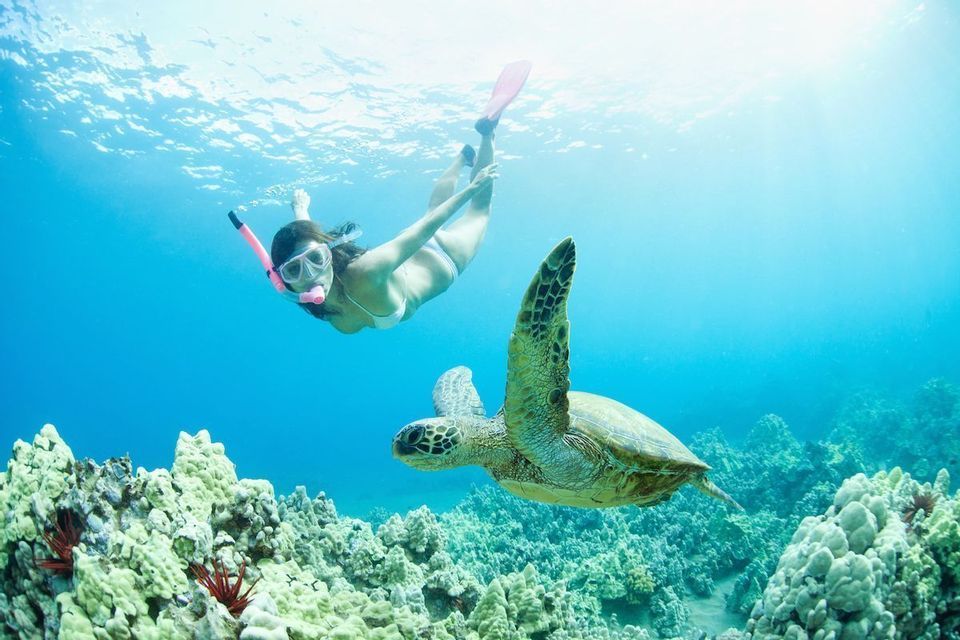 Una vista subacquea di una donna che fa snorkeling accanto a una grande tartaruga marina che nuota su una barriera corallina.