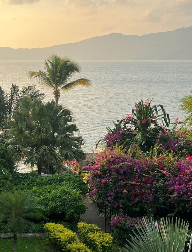 Ein Blick aus einem üppigen Garten mit Palmen und leuchtend rosa Bougainvillea auf ein ruhiges Gewässer mit Bergen in der Ferne.