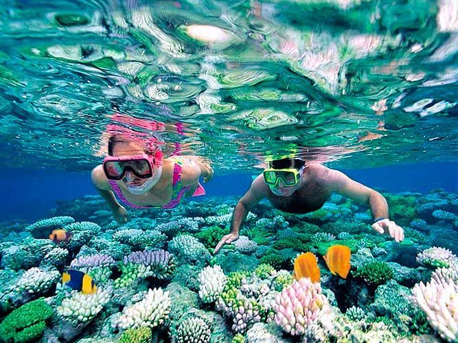 Un uomo e una donna con l'attrezzatura da snorkeling nuotano appena sotto la superficie dell'acqua, osservando una vivace barriera corallina brulicante di pesci.