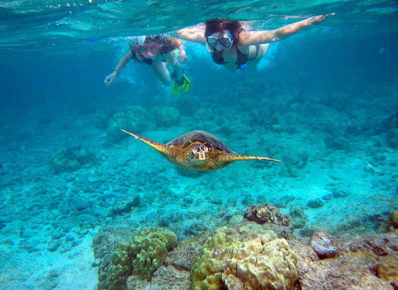 Una tartaruga marina nuota verso la telecamera mentre due persone di un viaggio di gruppo WeRoad fanno snorkeling sopra di essa in acque cristalline.