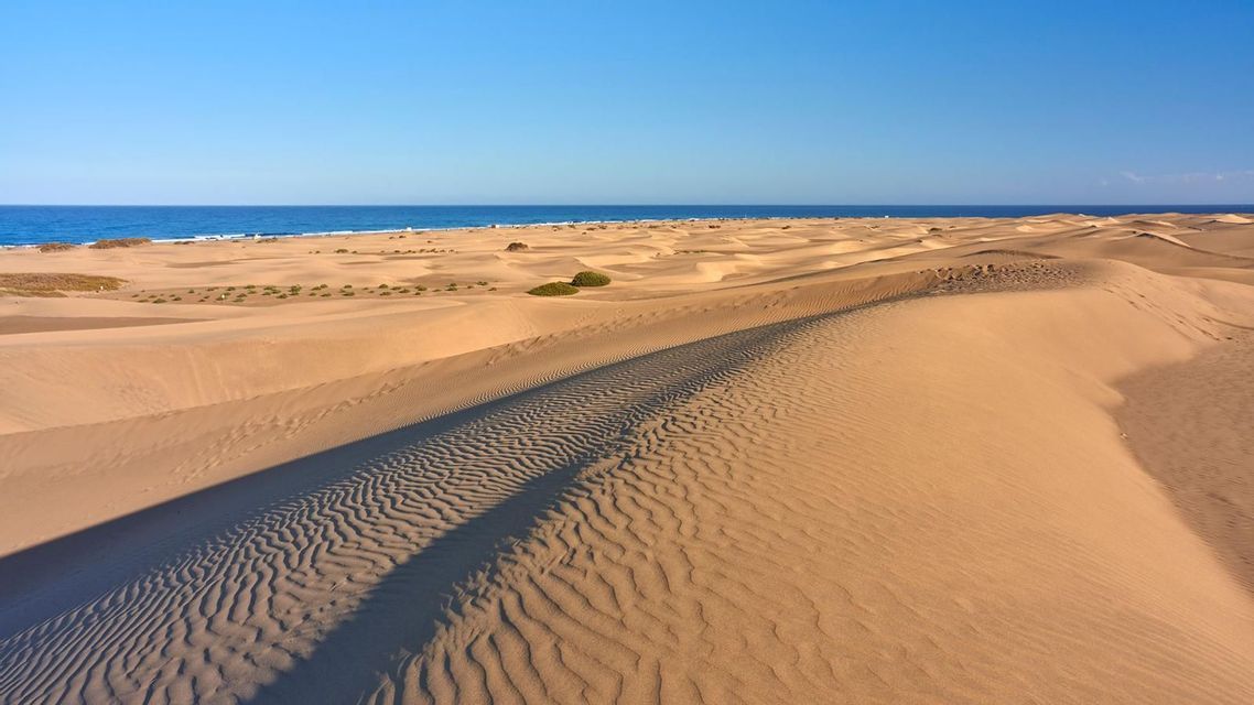 Expansive sand dunes with ripples and shadows stretch towards the blue ocean under a clear sky.