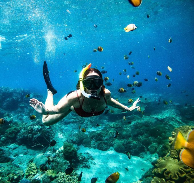 Eine Frau in einem roten Badeanzug schnorchelt unter Wasser und schwimmt inmitten eines Fischschwarms über einem Korallenriff.