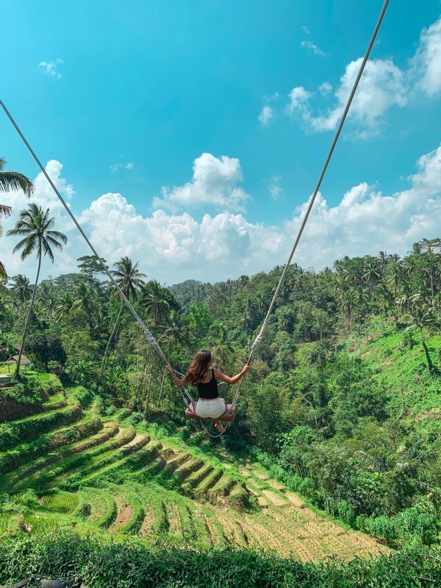 A woman on a large swing looks out over lush, terraced rice paddies and a tropical forest under a blue sky.