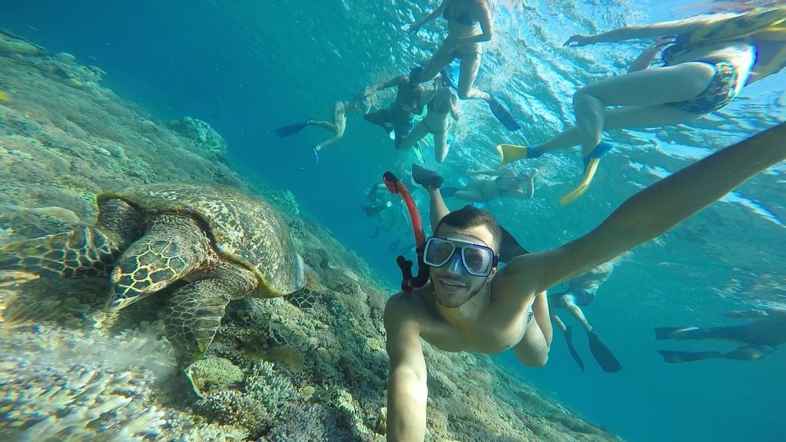 Un homme lors d'un voyage de groupe WeRoad prend un selfie sous-marin avec une grande tortue marine en faisant de la plongée avec tuba au-dessus d'un récif corallien.