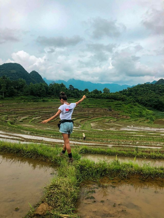 A woman from a WeRoad group trip balances on a narrow, grassy path between flooded rice paddies with green mountains in the background.