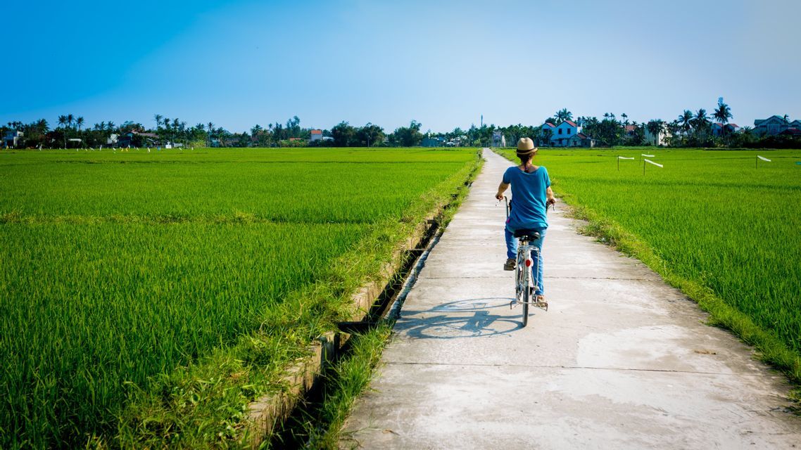 Una persona in bicicletta su uno stretto sentiero di cemento che attraversa vivaci risaie verdi sotto un cielo azzurro chiaro.