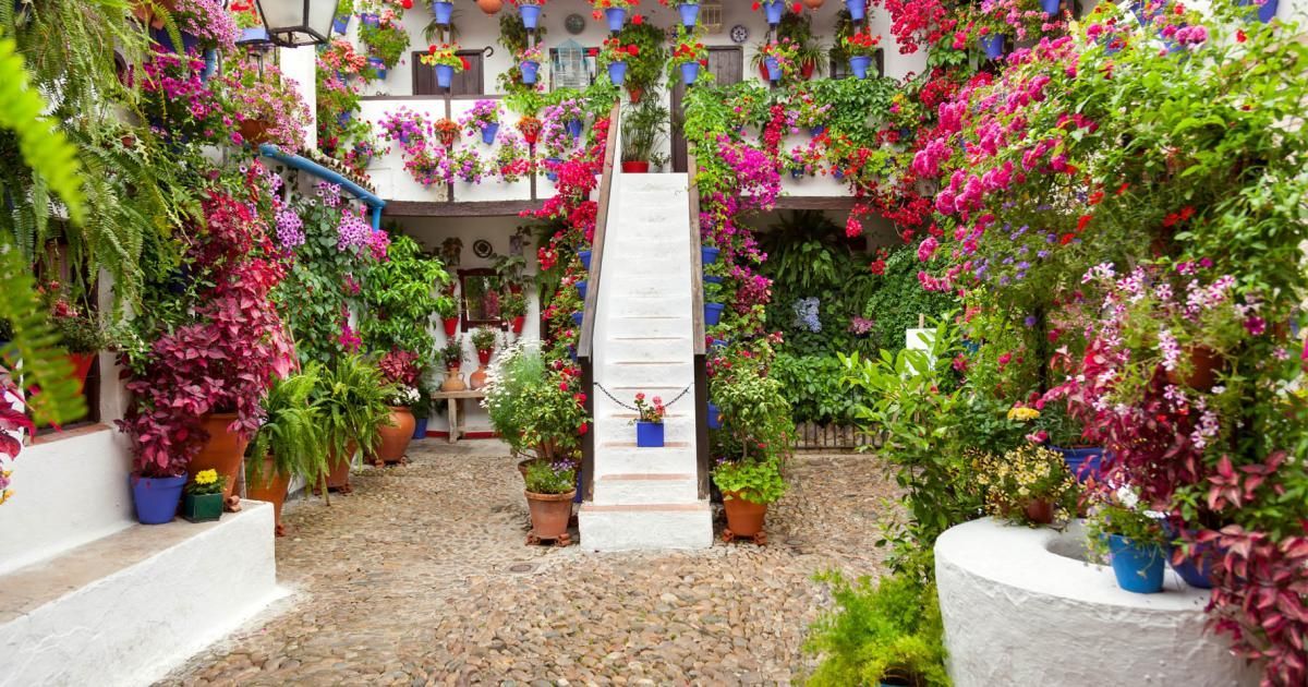 A cobbled courtyard with a central staircase, its white walls covered with colorful potted flowers and lush green plants.