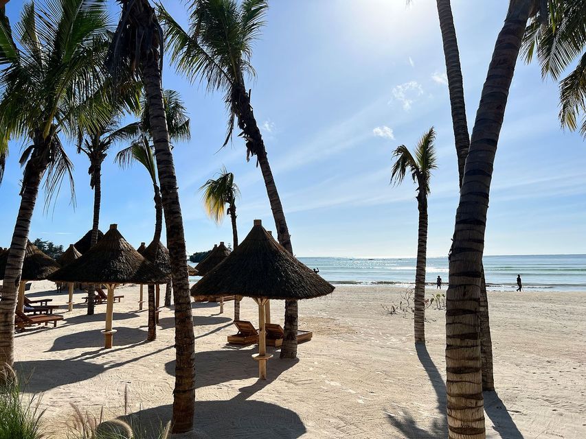 Hohe Palmen werfen Schatten über Strohschirme und Liegestühle an einem weißen Sandstrand am Meer.