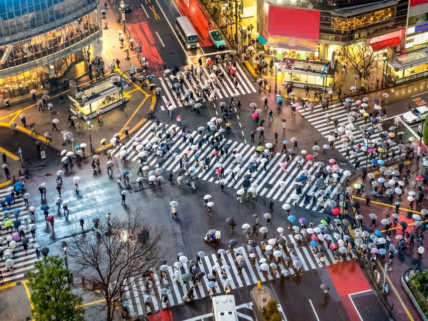 An aerial view of pedestrians with umbrellas crossing a busy city intersection on a wet day.