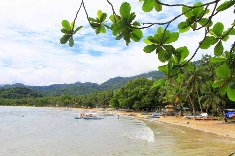 Une branche d'arbre feuillue encadre une vue sur une plage tropicale de sable avec des bateaux, des palmiers et des montagnes vertes.