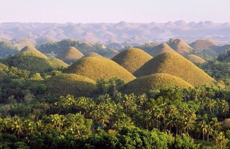 A landscape of numerous cone-shaped brown hills with lush green palm trees and vegetation in the valleys.