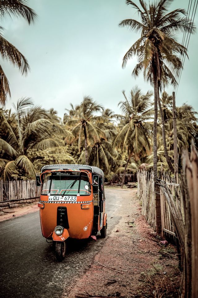 Un tuk-tuk arancione è parcheggiato su una stretta strada di campagna, circondato da alte palme e una recinzione rustica di legno.