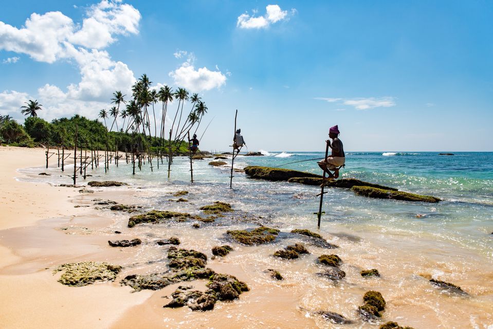 Tre pescatori su palafitte sono appollaiati su pali nell'acqua bassa e limpida di una spiaggia tropicale con palme.