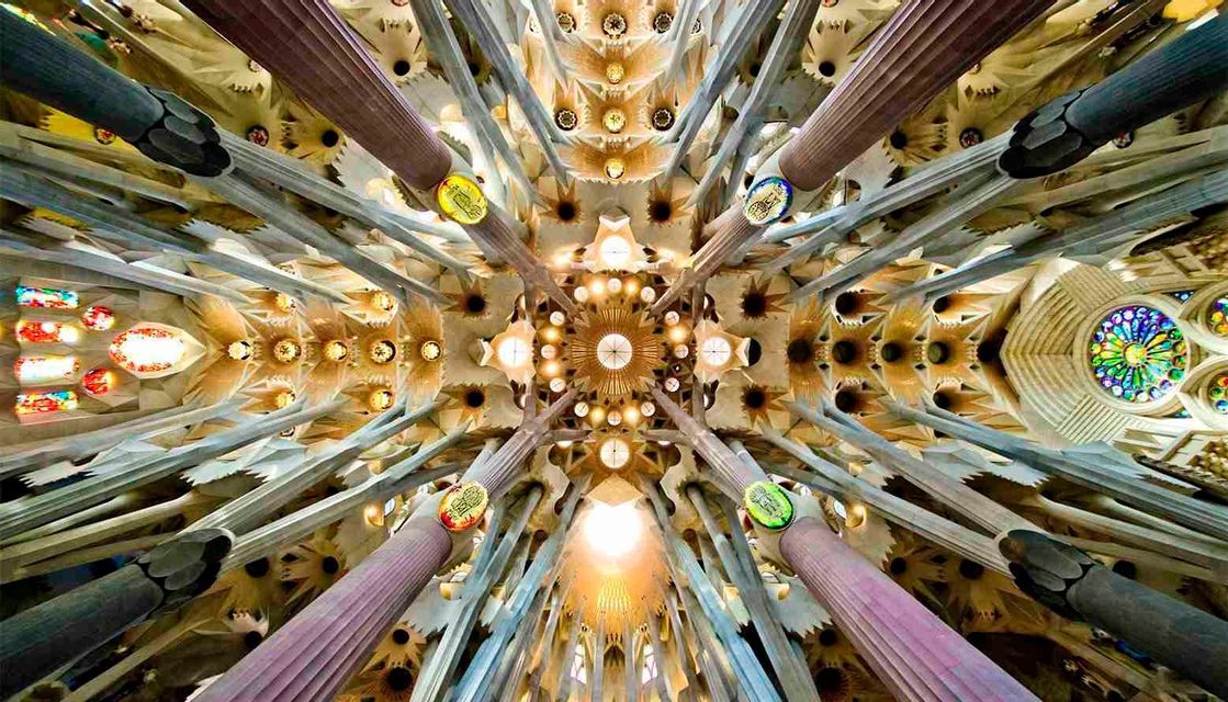 A low-angle view looking up at an ornate cathedral ceiling with intricate, branching columns and colorful stained glass windows.