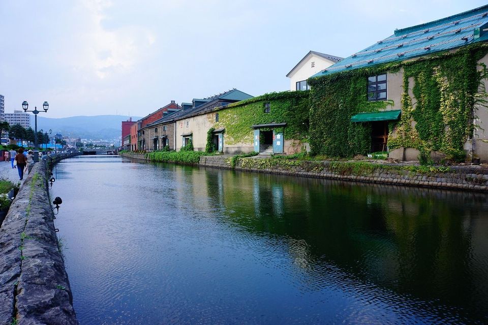 Vecchi edifici di magazzini coperti di edera verde costeggiano un tranquillo canale urbano, con i loro riflessi visibili sulla superficie dell'acqua.