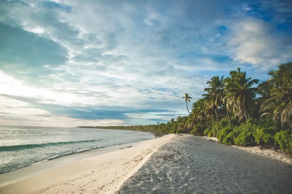 A long, sandy beach stretches along the ocean, bordered by a dense forest of palm trees under a cloudy sky.