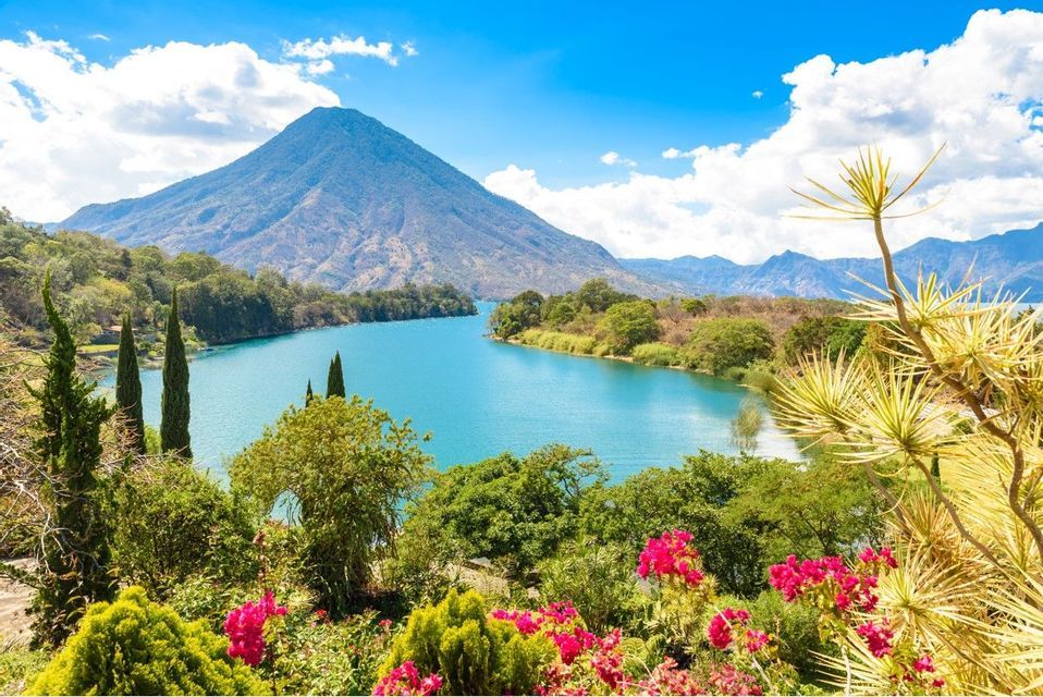 Un'imponente montagna a forma di cono si affaccia su un lago blu calmo, con una lussureggiante vegetazione verde e fiori rosa in primo piano.