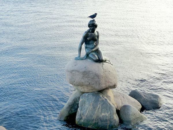 Un piccolo uccello nero si posa sulla testa di una statua di sirena di bronzo seduta su una roccia nell'acqua.