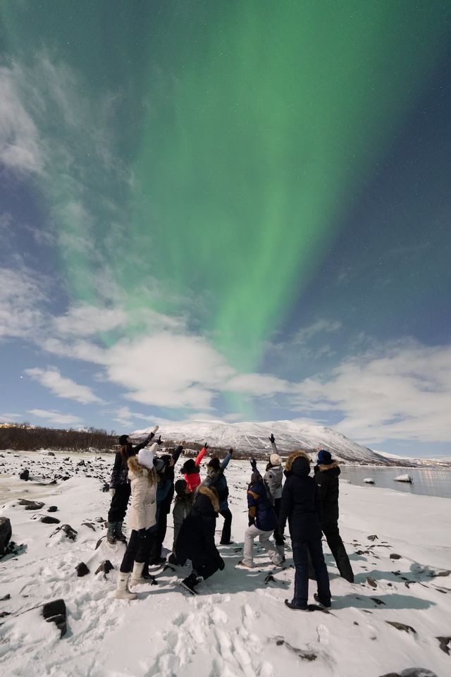 Un groupe WeRoad en voyage, des personnes en vêtements d'hiver debout dans la neige et pointant l'aurore boréale verte dans le ciel nocturne.