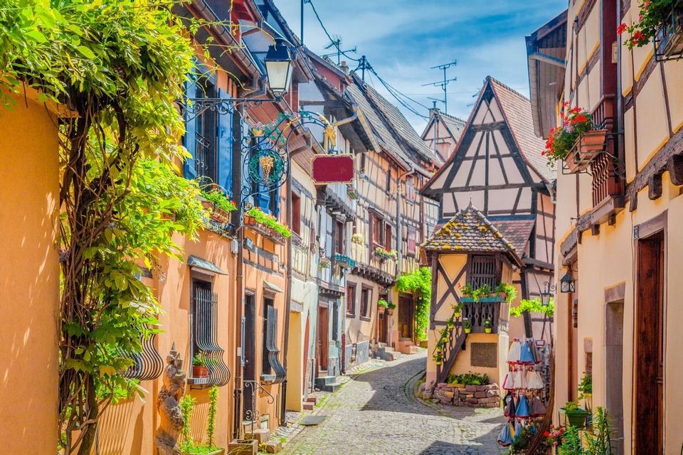 A winding cobblestone street is lined with colorful, traditional half-timbered houses and lush green vines under a blue sky.