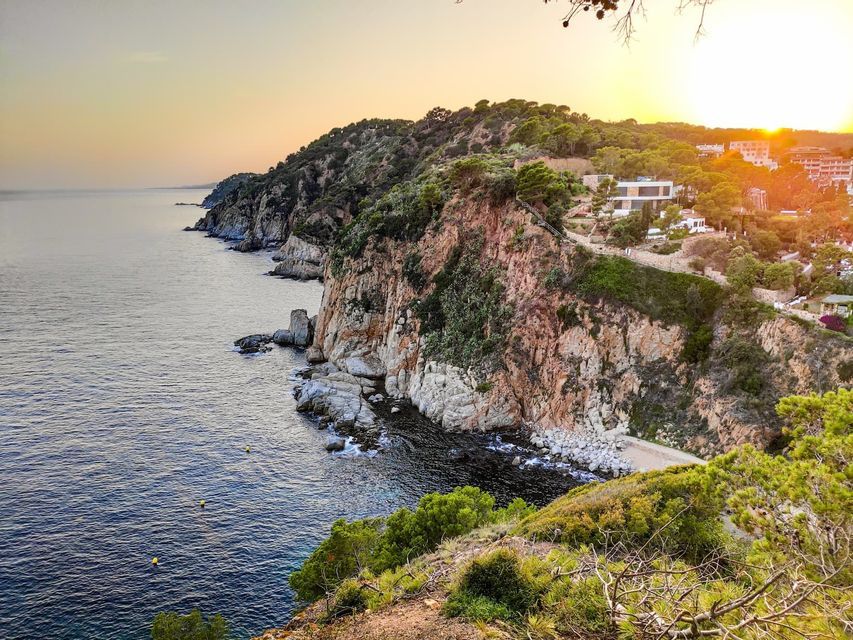 A rocky coastline covered with green trees and buildings overlooking the calm sea during a golden sunset.