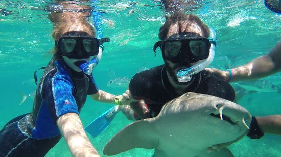 Due persone in un viaggio di gruppo WeRoad fanno snorkeling sott'acqua e toccano uno squalo nutrice in acque limpide e turchesi.