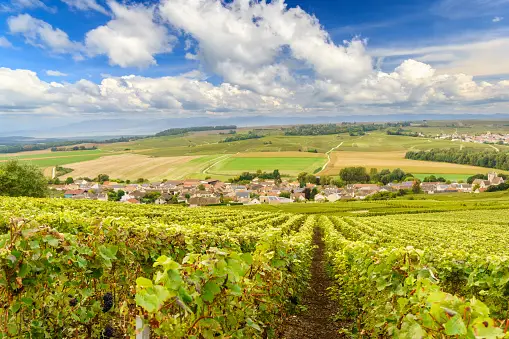 Una vista da un lussureggiante vigneto verde che si affaccia su un piccolo villaggio in una valle di campi a mosaico, sotto un cielo azzurro con nuvole.