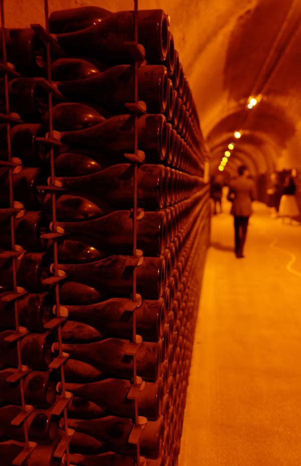 File di bottiglie di vino invecchiate sugli scaffali fiancheggiano una lunga cantina a volta, dove un gruppo WeRoad sta esplorando.