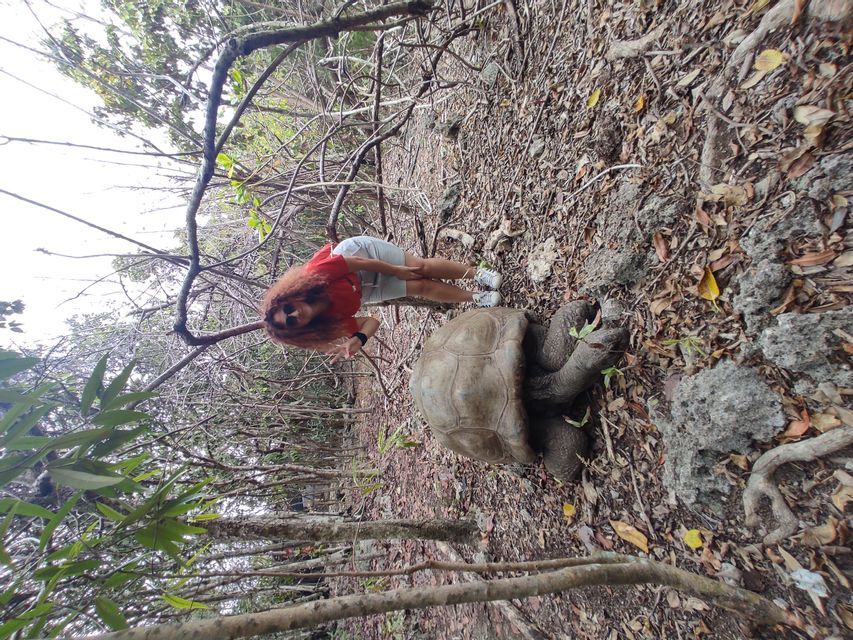 Una donna con i capelli ricci posa per una foto accanto a una tartaruga gigante su un sentiero frondoso in una foresta.