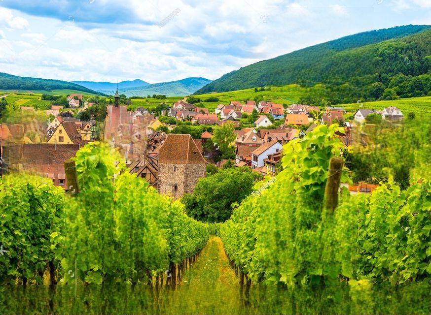 Una vista da un vigneto, che guarda lungo filari di viti verdi verso un piccolo villaggio immerso tra dolci colline.