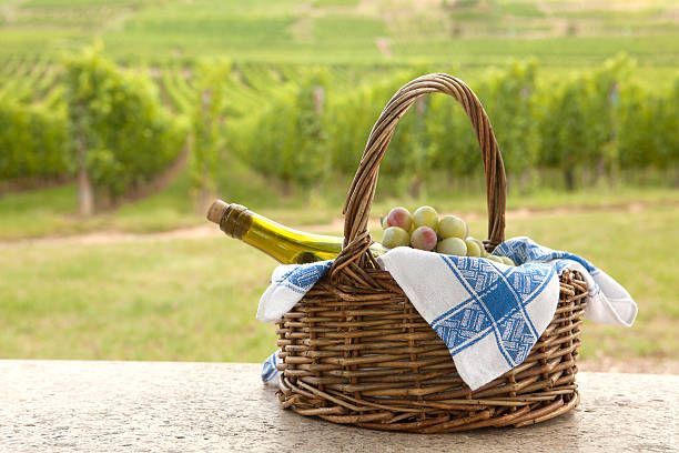 Ein Picknickkorb aus Weidengeflecht mit einer Flasche Wein und Trauben steht auf einer niedrigen Steinmauer mit Blick auf einen grünen Weinberg.