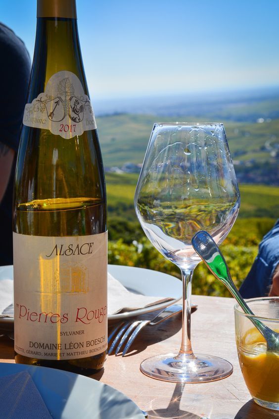 Eine Flasche Weißwein und ein Weinglas auf einem Terrassentisch, mit Blick auf sanfte grüne Weinberge im Hintergrund.